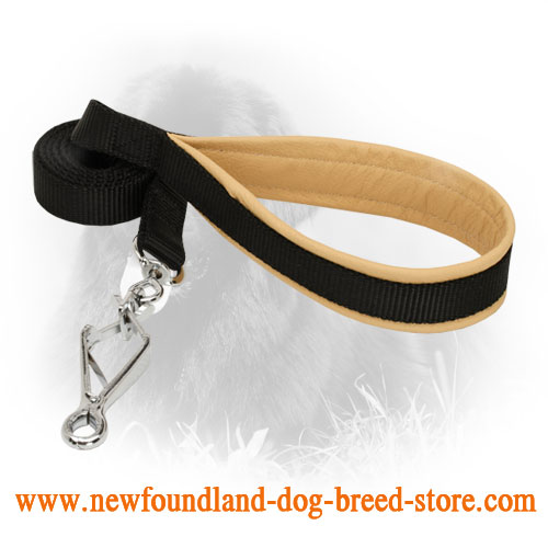 Nylon Newfoundland Leash with Herm Sprenger Snap Hook - Click Image to Close