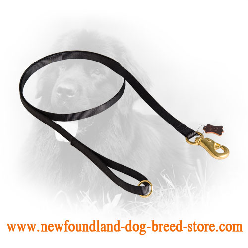Multipurpose Nylon Newfoundland Leash for Daily Use
