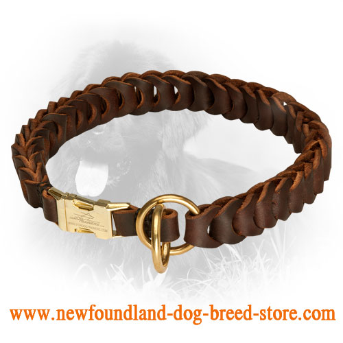 Newfoundland Choke Leather Collar Braided