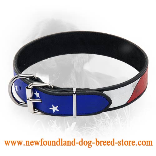 Newfoundland Leather Collar With Handcrafted American Flag Painting