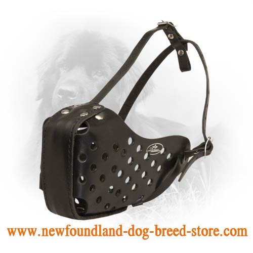 Top Quality Leather Newfoundland Muzzle - Training and Walking - Click Image to Close