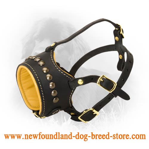 Open Nose Studded Leather Newfoundland Muzzle