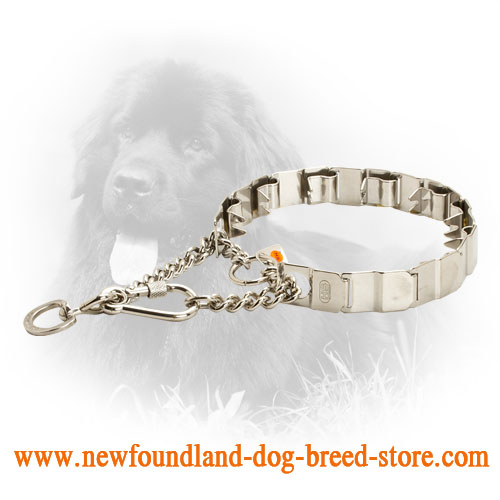 19 Inch Stainless Steel Newfoundland Neck Tech Pinch Prong Collar