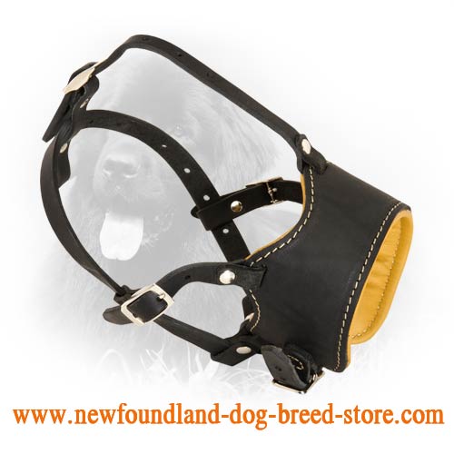Snout Shot Leather Newfoundland Muzzle with Soft Nappa Padding