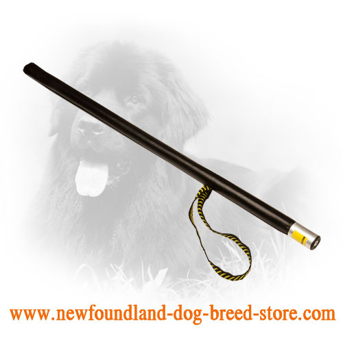 Newfoundland Agitation Stick for Schutzhund Training