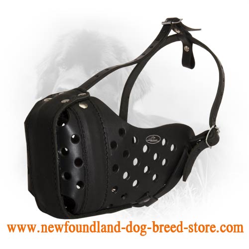 Universal Comfortable Leather Newfoundland Muzzle - Click Image to Close