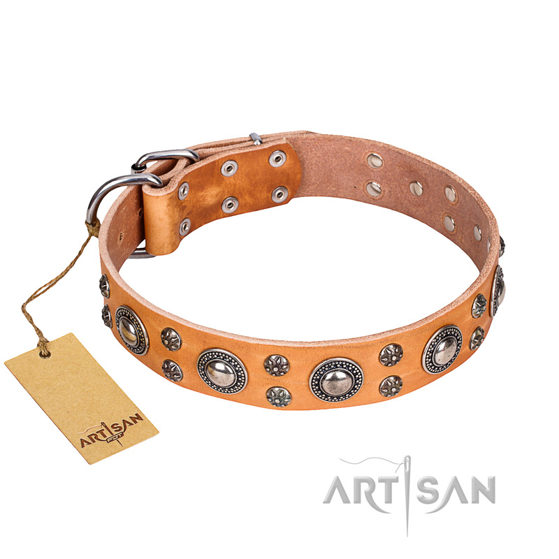 'Extra Sparkle' FDT Artisan Handcrafted Newfoundland Tan Leather Dog Collar