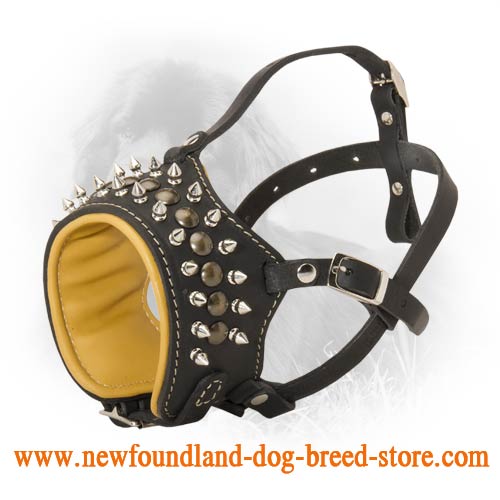 Royal Spiked and Studded Leather Newfoundland Muzzle
