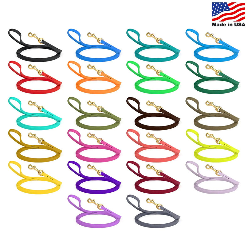 Biothane Leash 10 ft w/ Brass Hardware - Click Image to Close