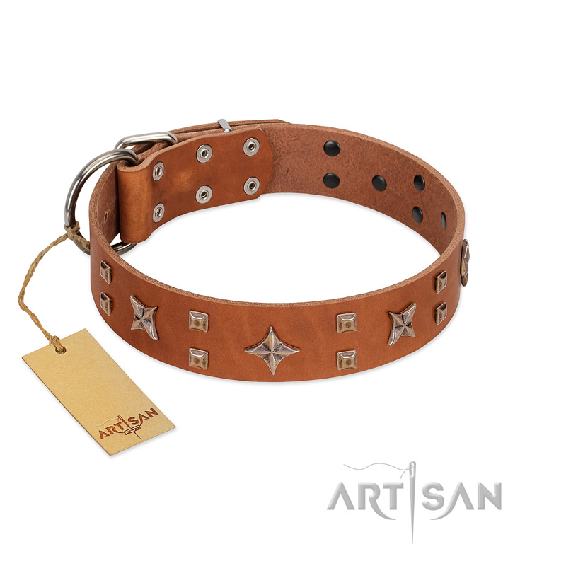 "Dreamy Gleam" FDT Artisan Tan Leather Newfoundland Collar Adorned with Stars and Squares