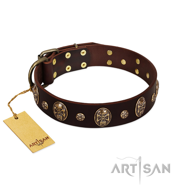 "Breaking the Horizon" FDT Artisan Brown Leather Newfoundland Collar with Engraved Studs and Medallions