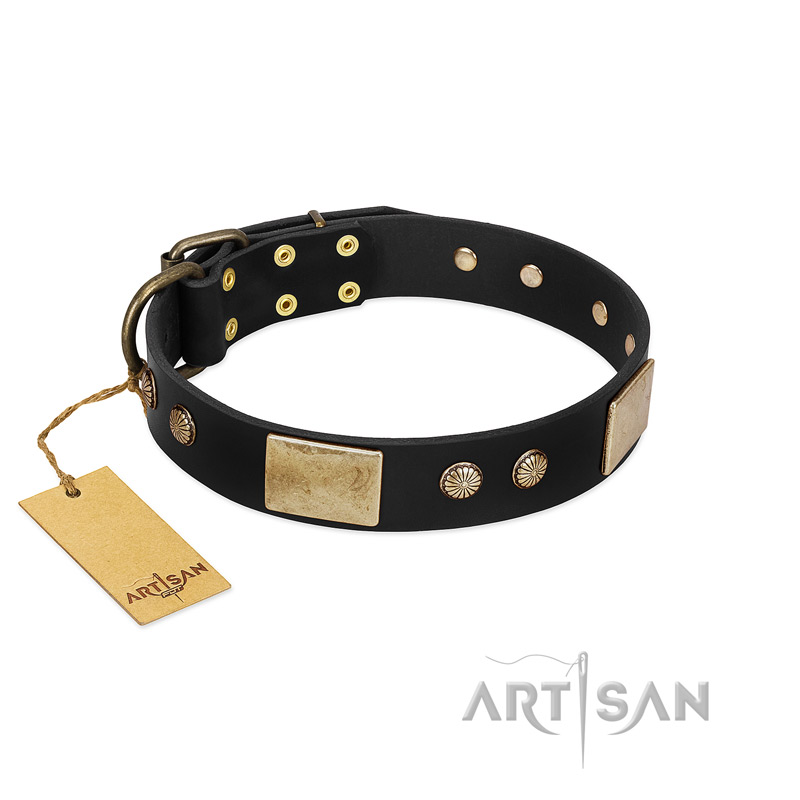"Antique Gloss" FDT Artisan Black Leather Newfoundland Collar with Bronze-like Plates and Small Studs