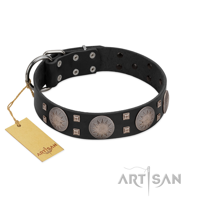 "Sun in Shining" Modern FDT Artisan Black Leather Newfoundland Collar with Studs and Stars