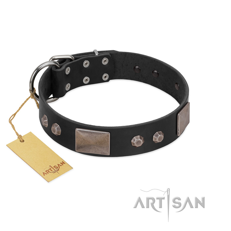 "Square Stars" Modern FDT Artisan Black Leather Newfoundland Collar with Square Plates and Studs - Click Image to Close