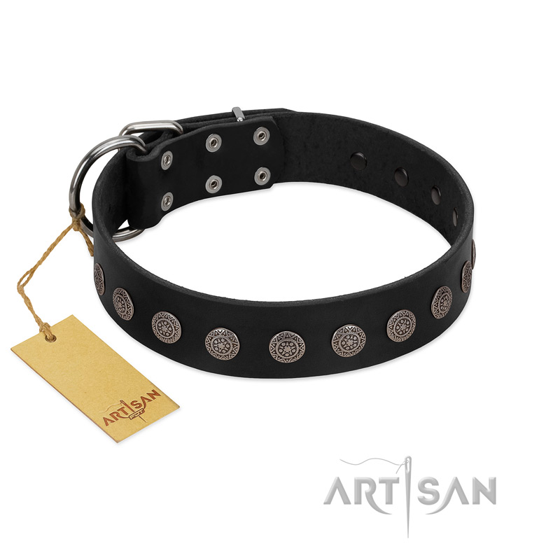 "Silent Star" Handmade FDT Artisan Designer Black Leather Newfoundland Collar with Engraved Plates