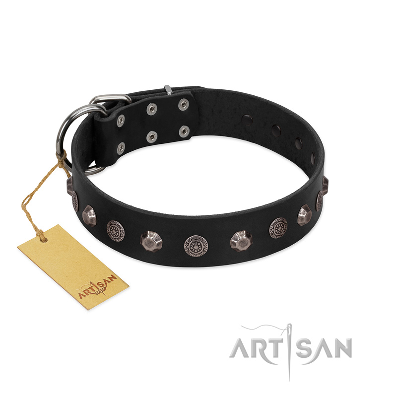 "Black Knight" Handmade FDT Artisan Black Leather Newfoundland Collar with Silver-Like Studs - Click Image to Close