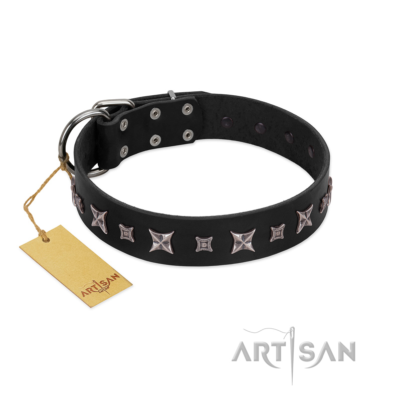 "Polar Lights" Designer FDT Artisan Black Leather Newfoundland Collar with Silver-Like Studs