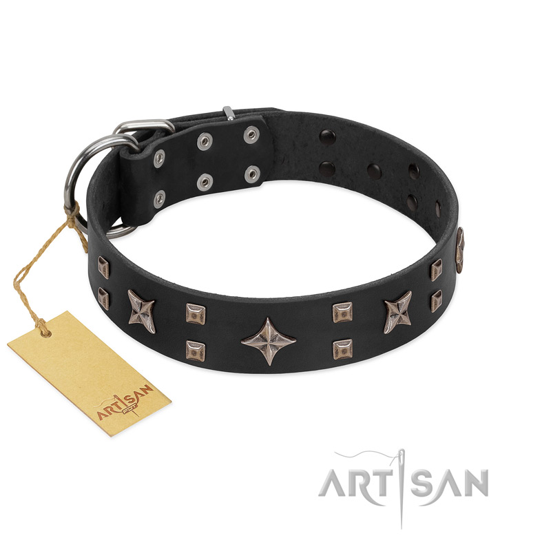 "Star Excitement" Modern FDT Artisan Black Leather Newfoundland Collar with Studs and Stars