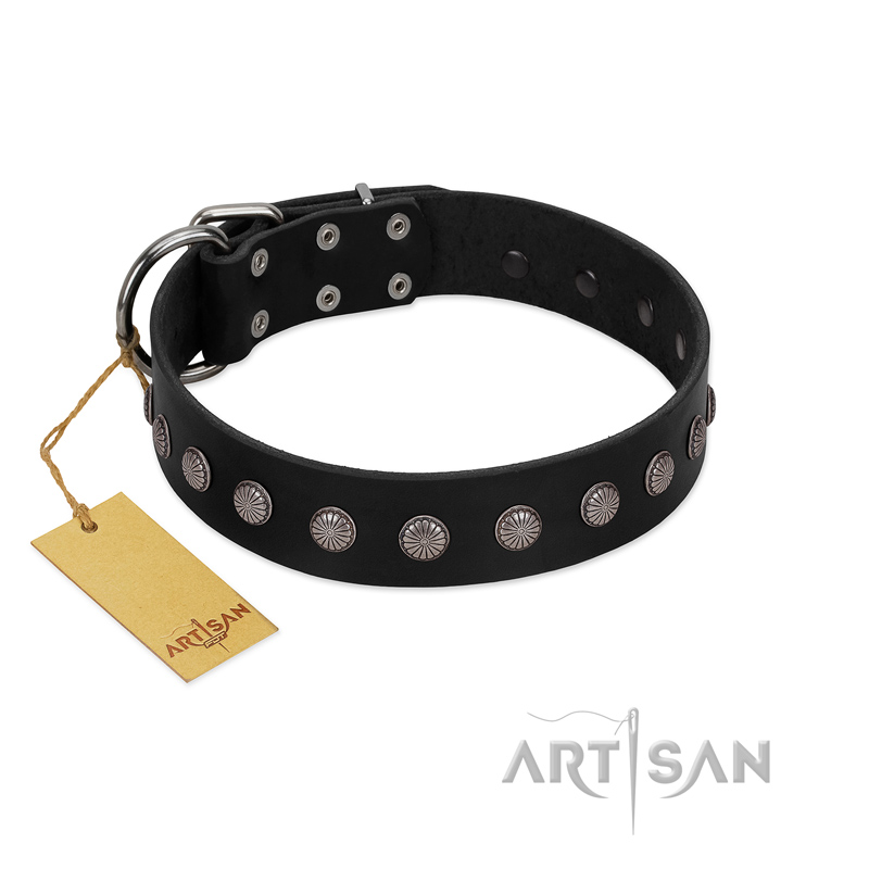 "Silver Flower" Exclusive FDT Artisan Black Leather Newfoundland Collar with Silver-Like Studs