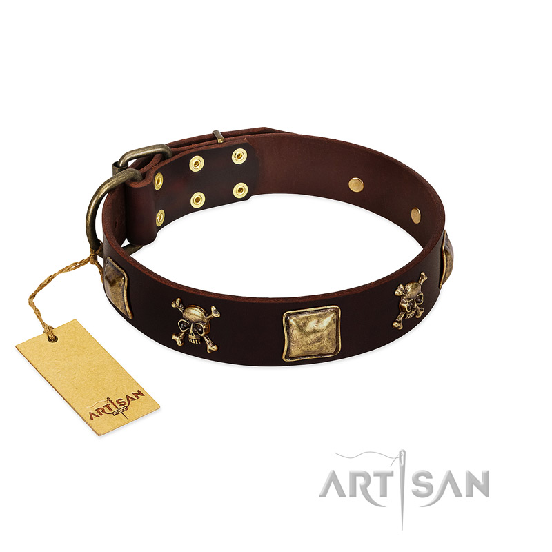 "Crazy Pirate" FDT Artisan Brown Leather Newfoundland Collar with Old Bronze-Plated Skulls and Plates
