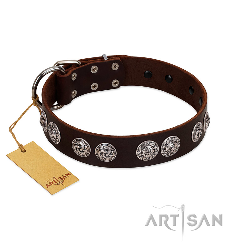 "High and Mighty" FDT Artisan Classy Brown Leather Newfoundland Collar with Embellished Brooches