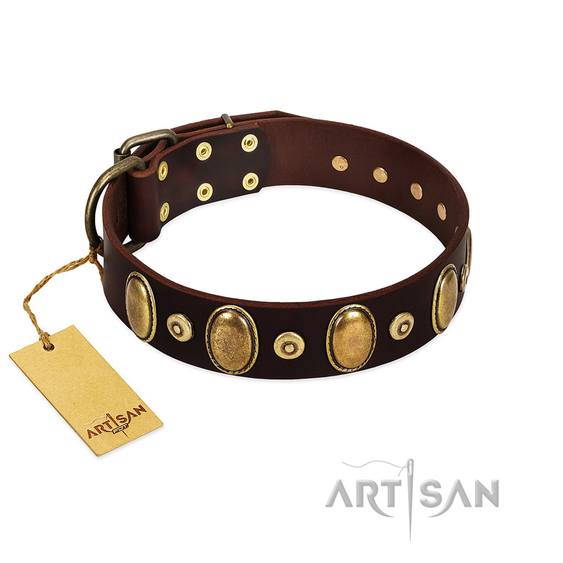 "Retro Pusle" FDT Artisan Brown Leather Newfoundland Collar with Old Bronze-like Studs and Oval Brooches