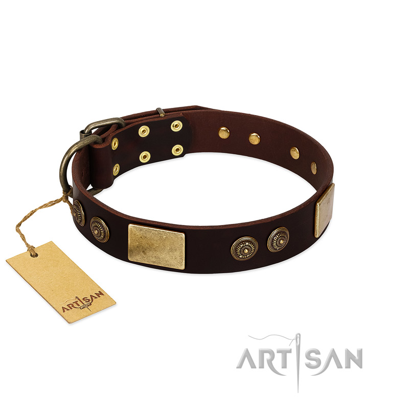 "Bow-Wow Effect" FDT Artisan Brown Leather Newfoundland Collar with Plates and Ornate Studs