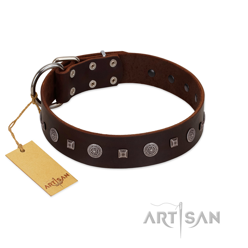 "Pure Sensation" Exclusive FDT Artisan Brown Leather Newfoundland Collar with Fancy Brooches and Studs