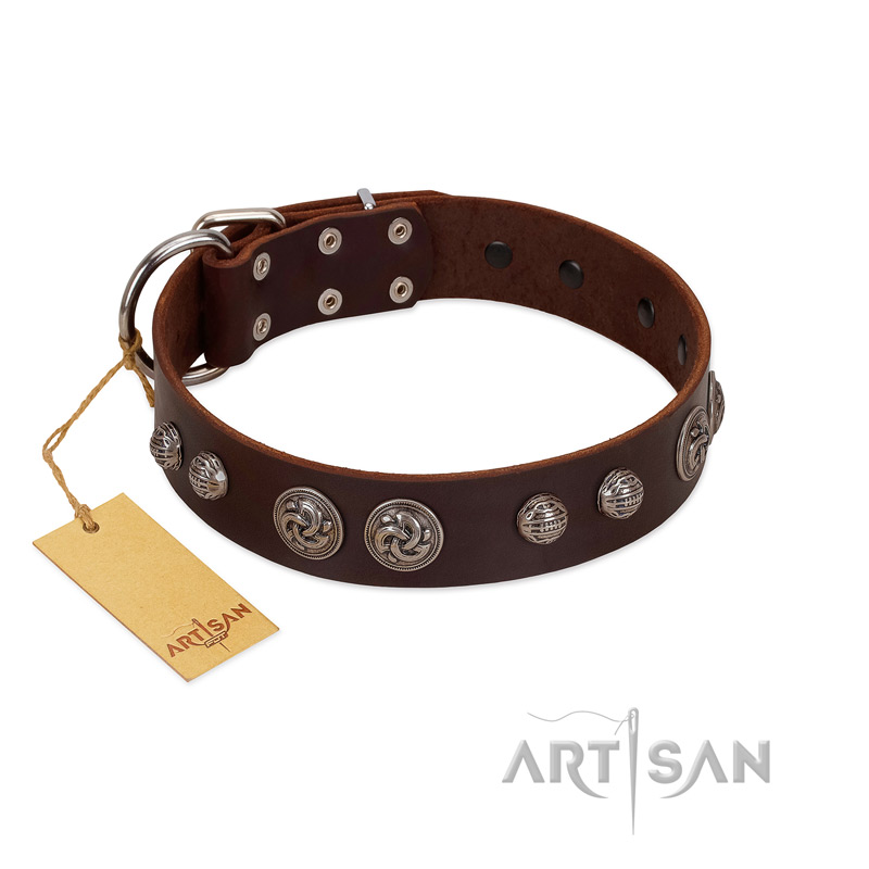 "Choco Brownie" FDT Artisan Brown Leather Newfoundland Collar Adorned with Silver-Like Conchos