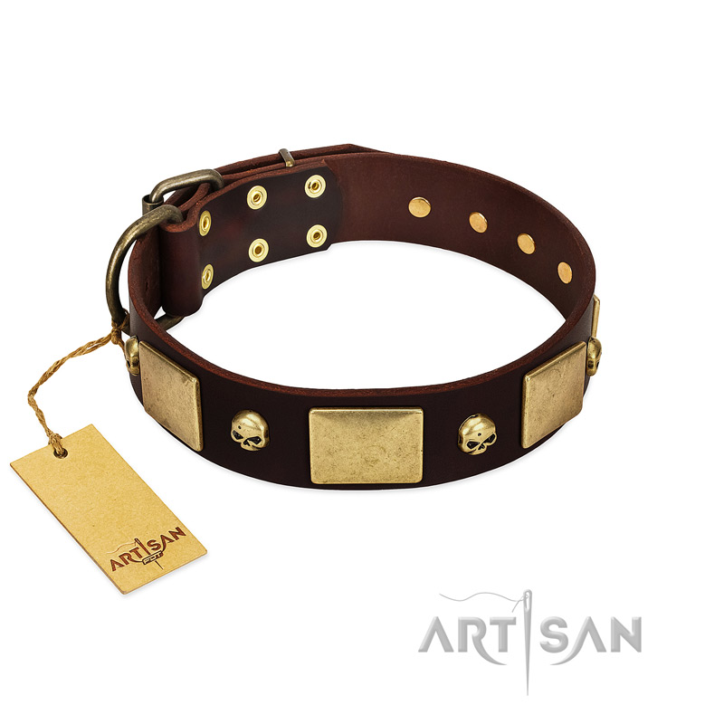 "Heavy Metal" FDT Artisan Brown Leather Newfoundland Collar with Old Bronze-like Skulls and Plates