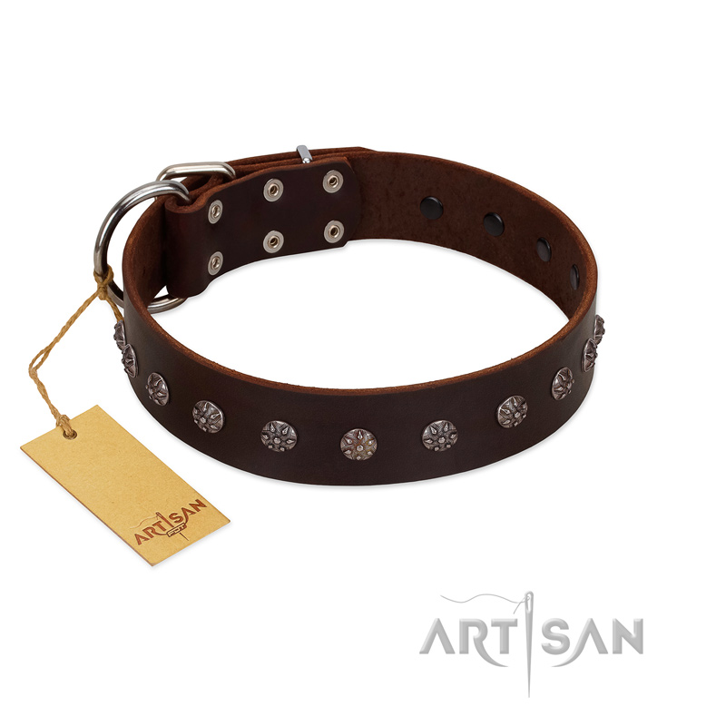 "Graceful Classic" Mod FDT Artisan Brown Leather Newfoundland Collar