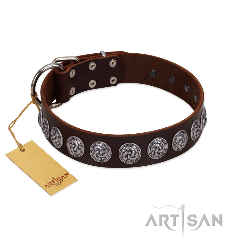 "Charming Circles" FDT Artisan Brown Leather Newfoundland Collar with Silver-like Studs