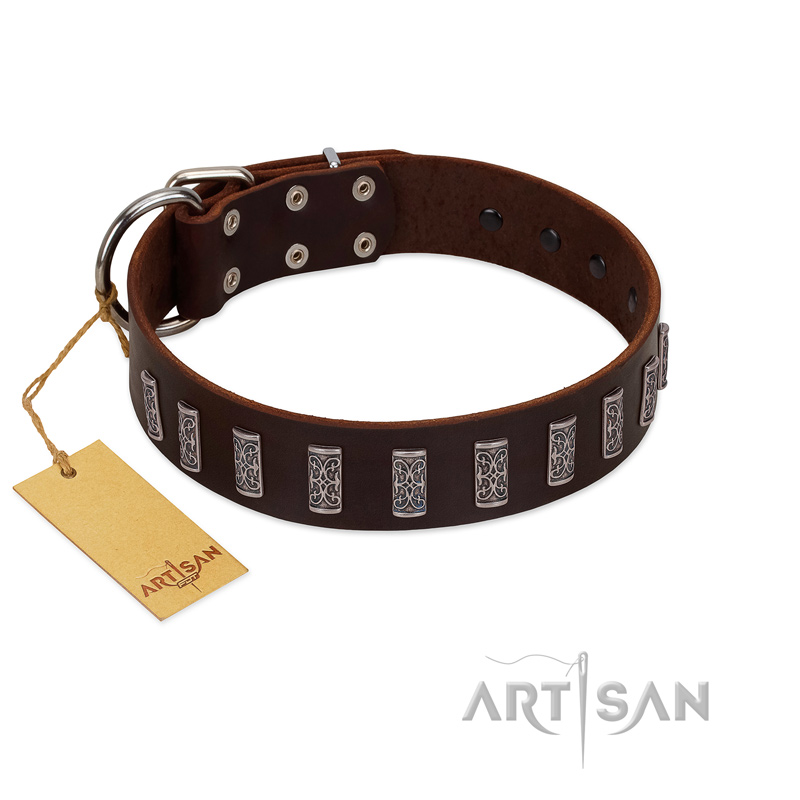"Brown Lace" Handmade FDT Artisan Brown Leather Newfoundland Collar for Everyday Walks