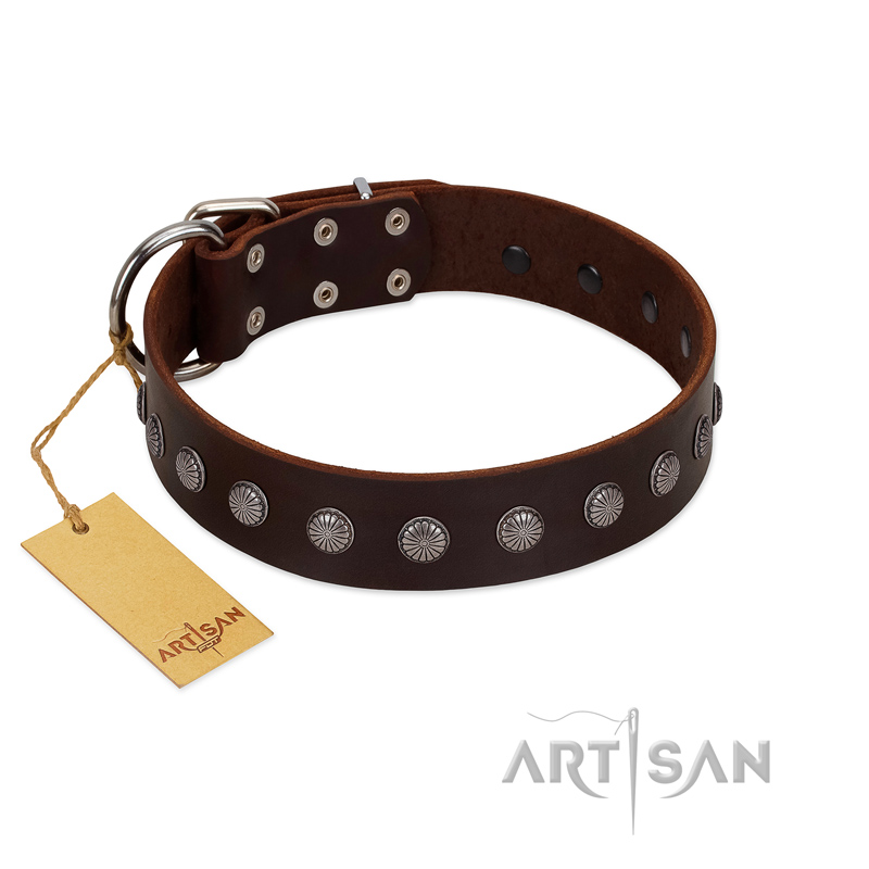 "Spring Flower" Stylish FDT Artisan Brown Leather Newfoundland Collar for Comfy Walks - Click Image to Close