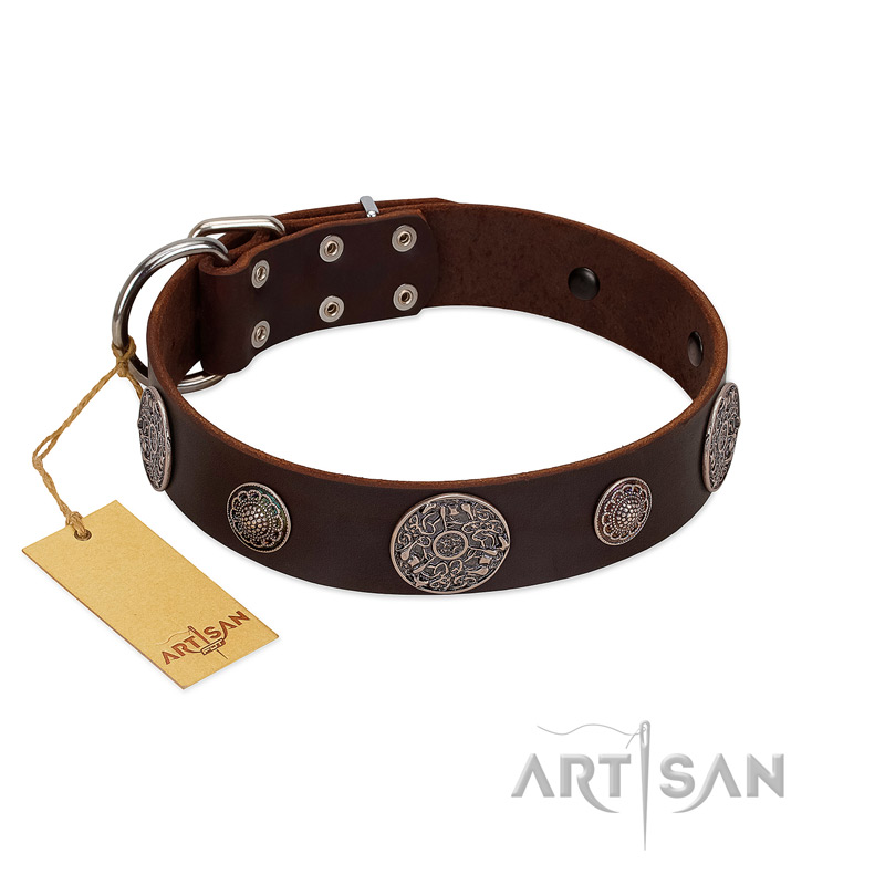 "Flashy Woof" FDT Artisan Brown Leather Newfoundland Collar with Chrome Plated Brooches