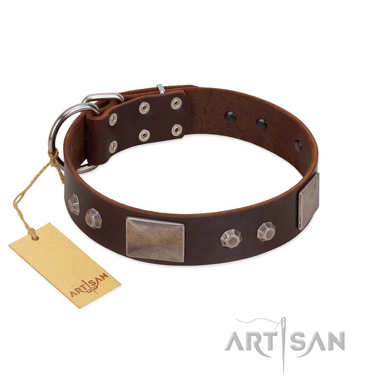 "Stone Stars" Stylish Handmade FDT Artisan Brown Leather Newfoundland Collar