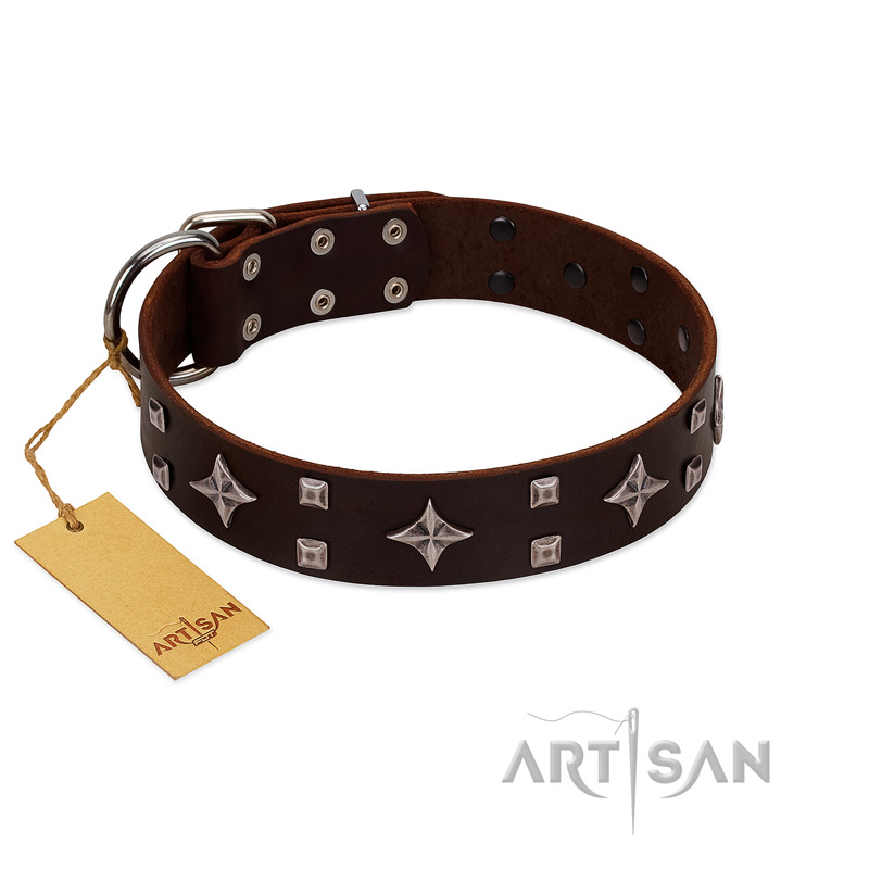 "Trendy Candy" FDT Artisan Brown Leather Newfoundland Collar Adorned with Stars and Tiny Squares