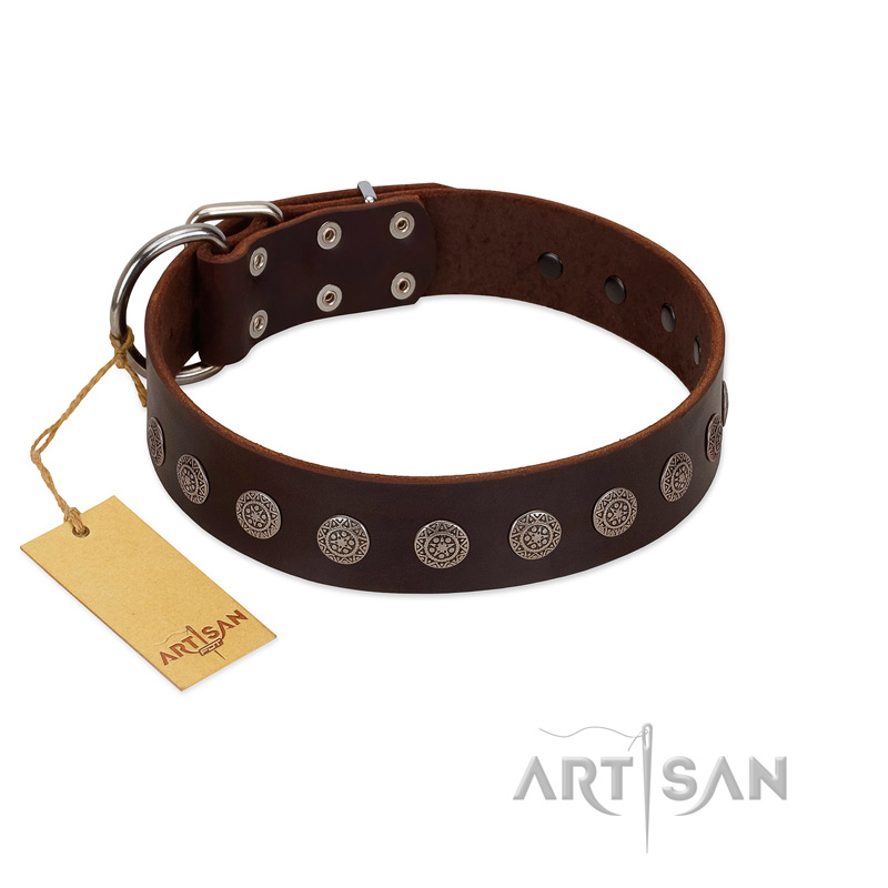 "Starry-Eyed" Best Quality FDT Artisan Brown Designer Leather Newfoundland Collar with Small Plates