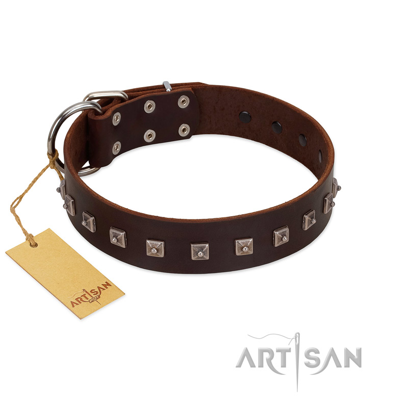 "Kingly Grace" FDT Artisan Brown Leather Newfoundland Collar with Silver-like Dotted Studs