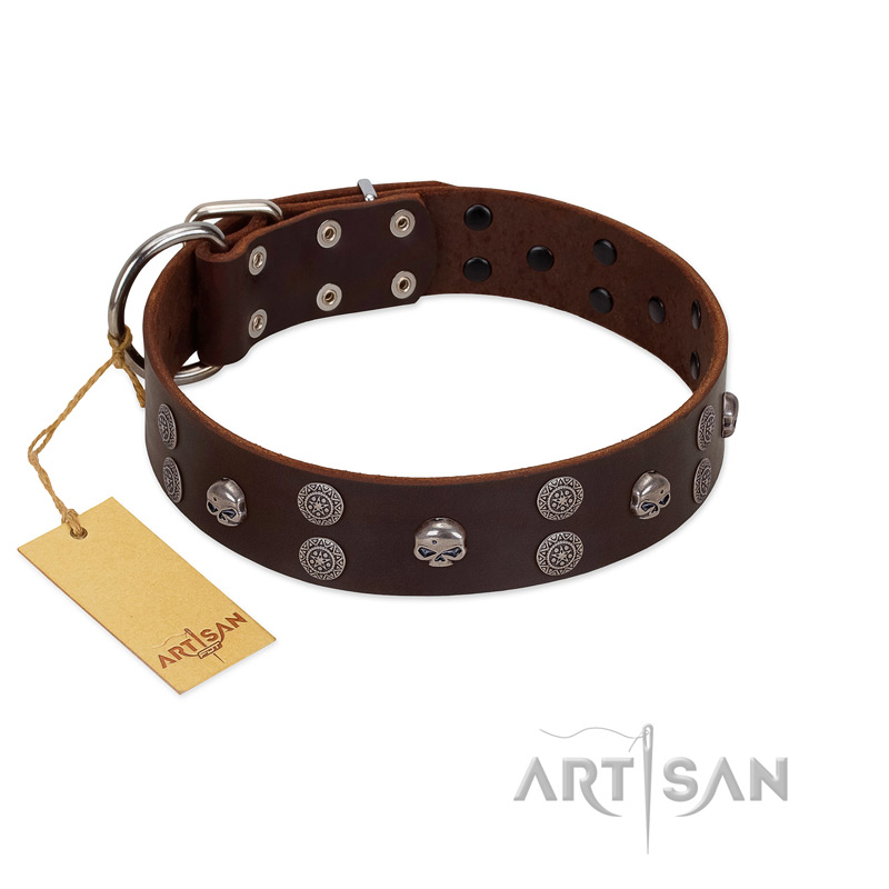"Skull Valley" Handcrafted FDT Artisan Brown Leather Newfoundland Collar with Skulls