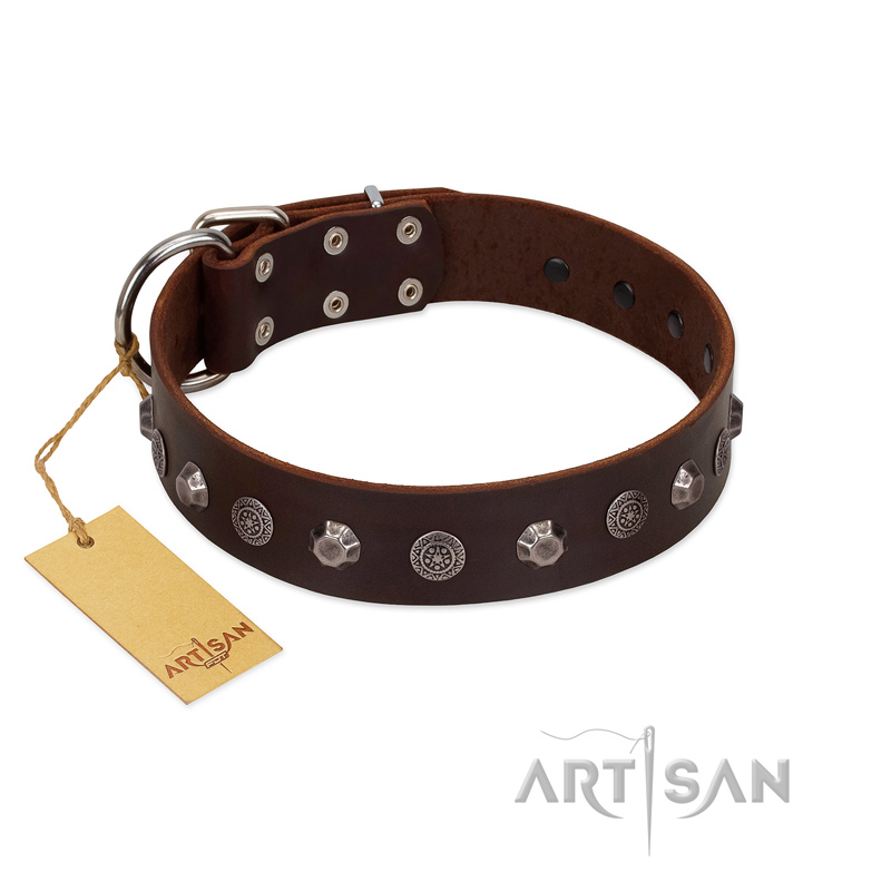"Dark Chocolate" Handmade FDT Artisan Brown Leather Newfoundland Collar with Studs