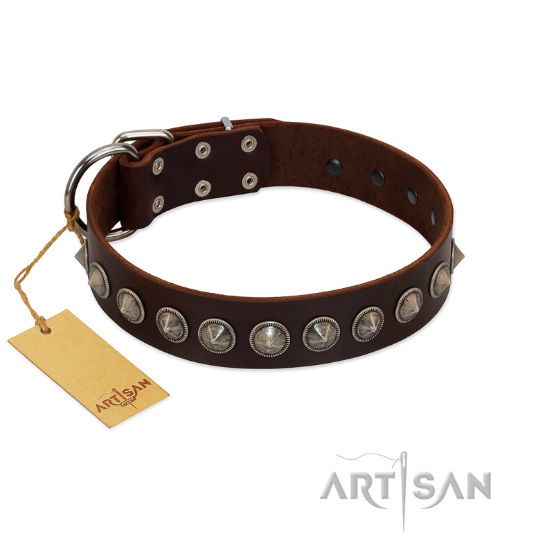 "Gothic Style" FDT Artisan Fancy Brown Leather Newfoundland Collar with Silver-Like Decorations