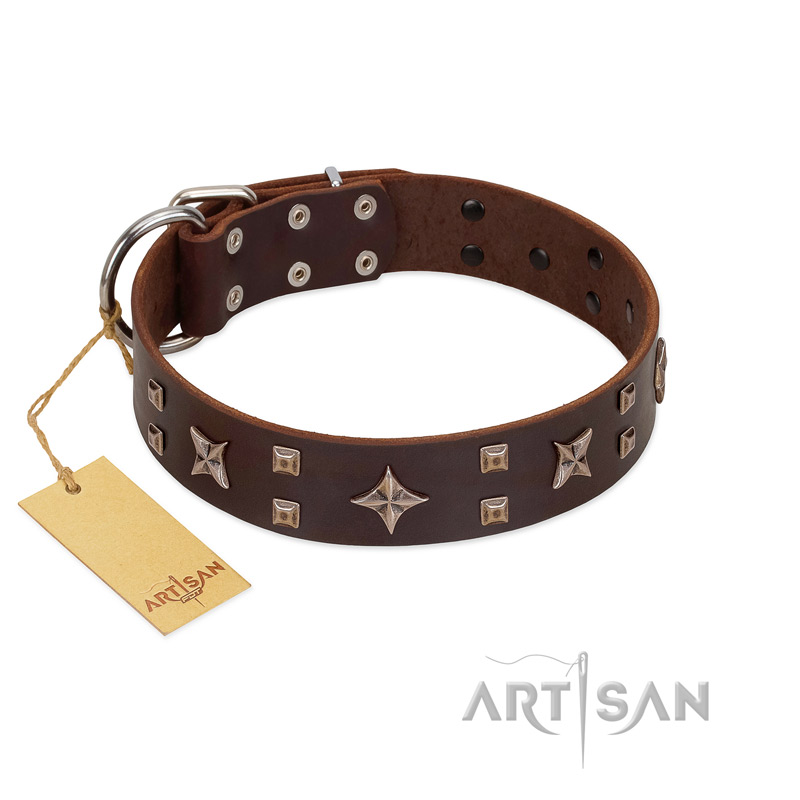 "Stars in Sands" Modern FDT Artisan Brown Leather Newfoundland Collar with Studs and Stars