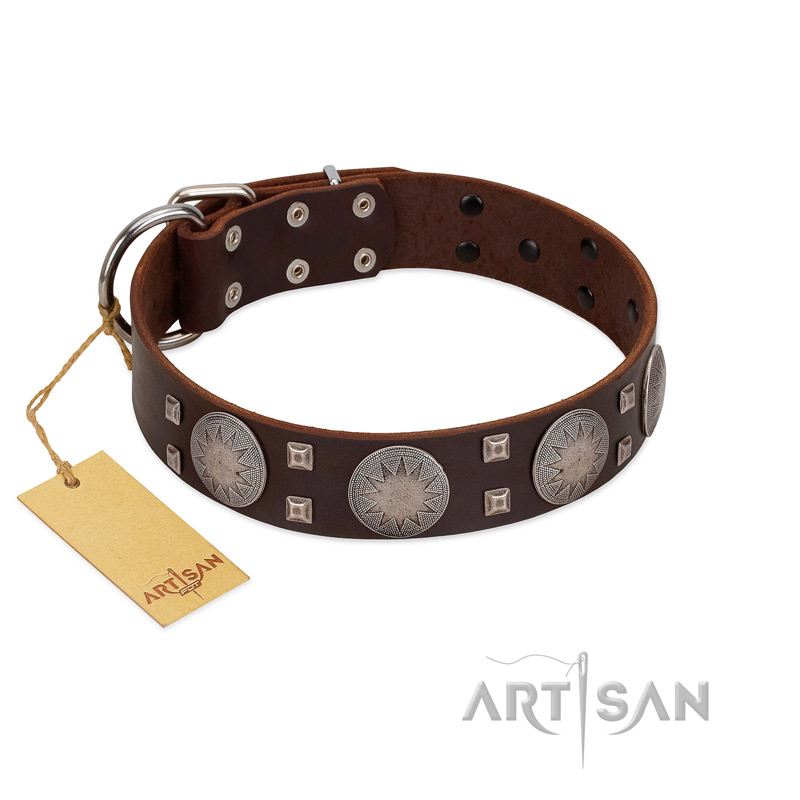 "Sun in Barchans" Modern FDT Artisan Brown Leather Newfoundland Collar with Engraved Stars on Round Plates and Studs