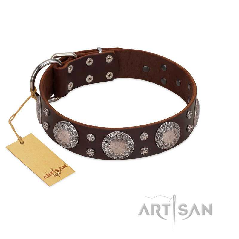 "Imperial Legate" FDT Artisan Brown Leather Newfoundland Collar with Big Round Plates