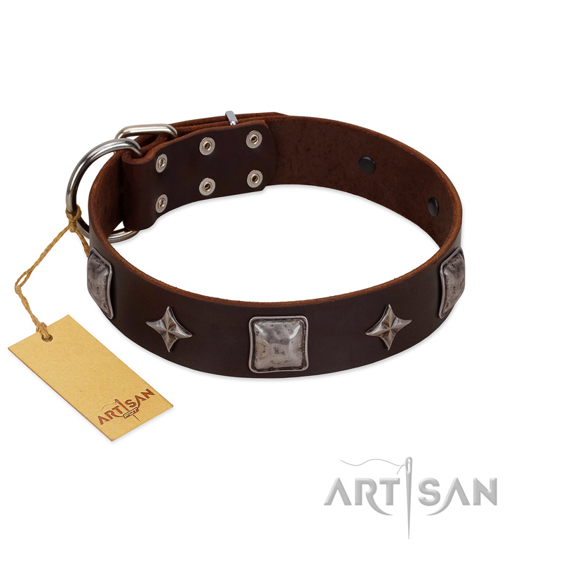 "Cold Star" Designer FDT Artisan Brown Leather Newfoundland Collar with Silver-Like Adornments