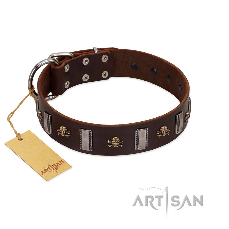 "War Chief" FDT Artisan Genuine Brown Leather Newfoundland Collar with Skulls and Plates