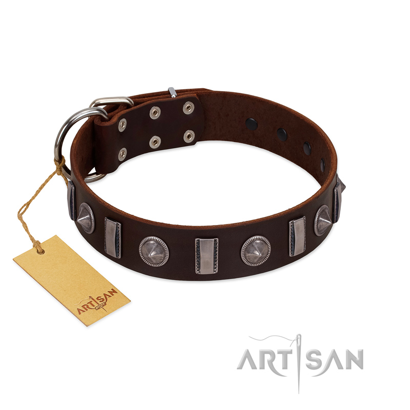 "Spiky Way" FDT Artisan Brown Leather Newfoundland Collar with Silver-Like Decorations