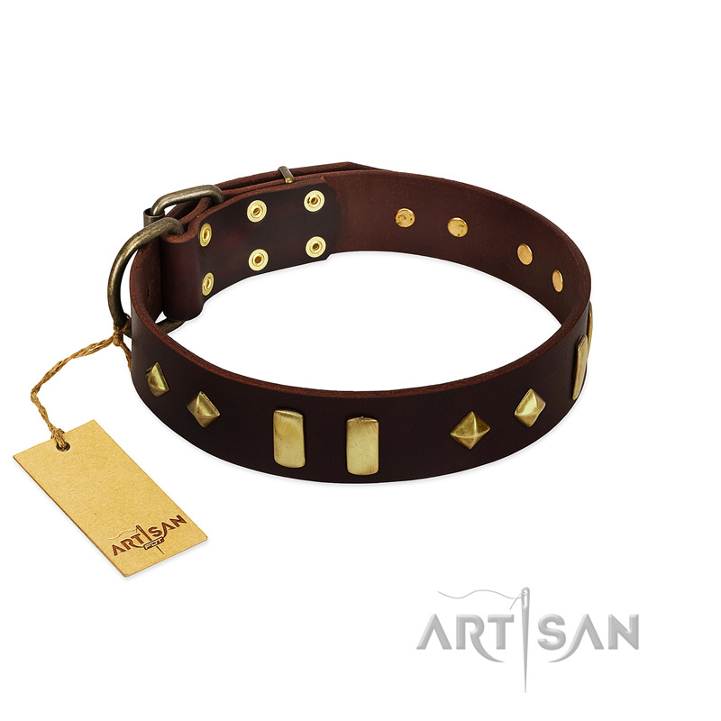 "Blinking Illusion" FDT Artisan Brown Leather Newfoundland Collar with Old Bronze-like Studs and Plates