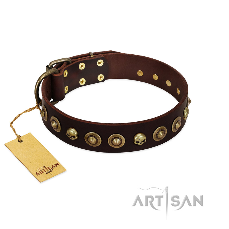 "Street Fashion" FDT Artisan Brown Leather Newfoundland Collar Adorned with Circles and Skulls